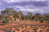 dry bed of the todd river, allice springs, central australia