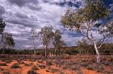 dry bed of the todd river, allice springs, central australia