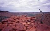 view from kings canyon to the flat 'red centre' of australia
