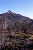 mount pelion viewed from the overland track