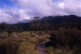 a remote lake in tasmania